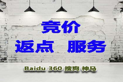案例研究：SEM代运营服务公司的创新策略