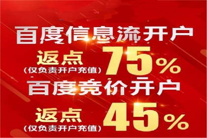 SEM竞价优化实战：提升转化率案例分析